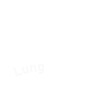Lungitude Foundation