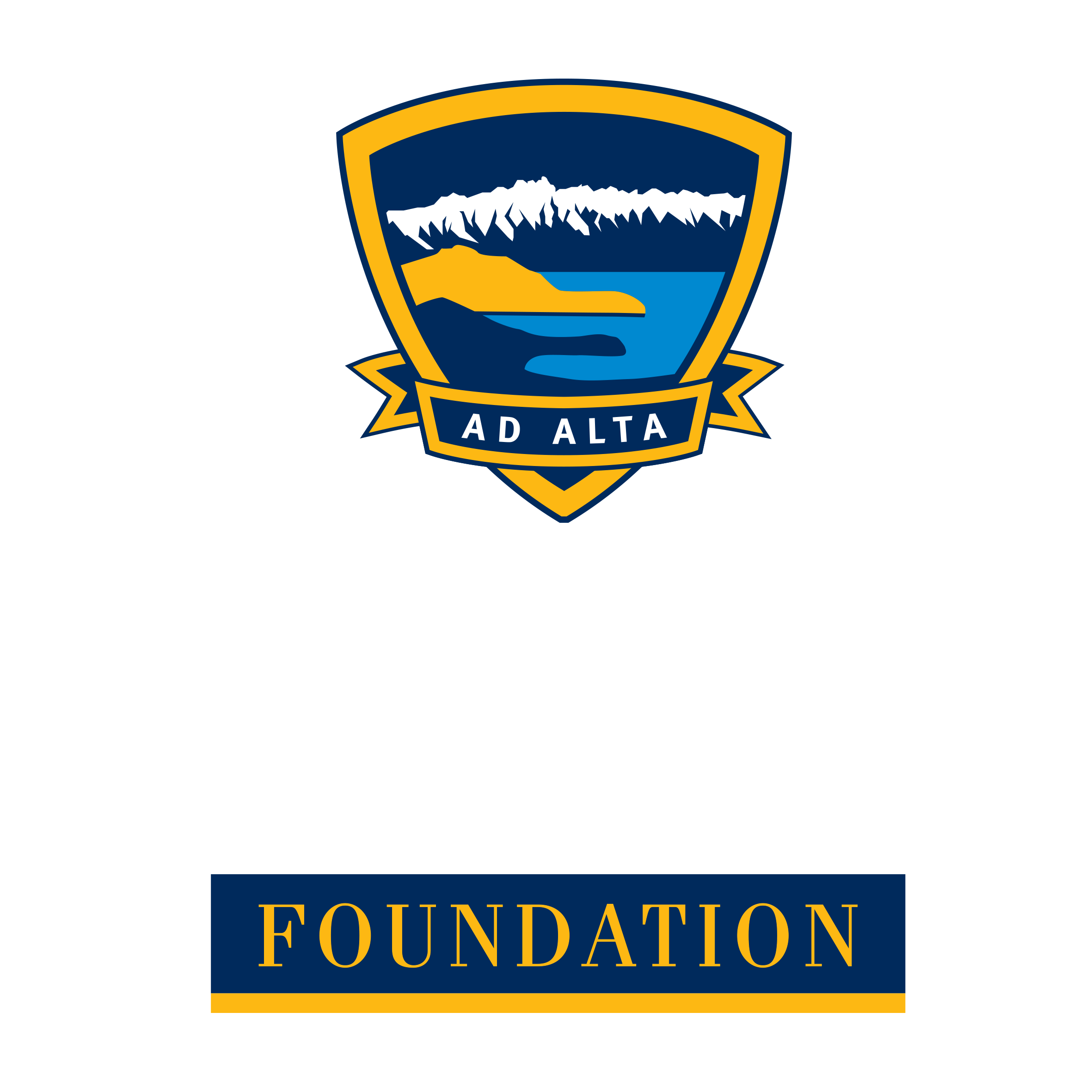 Wakatipu High School Foundation