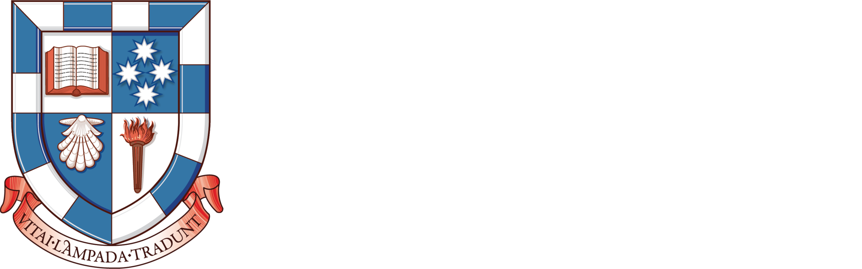 Shore Foundation