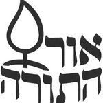 OHR HATORAH - QUEENS/LAKEWOOD