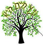 תלמוד תורה ״עץ חיים״ רעננה