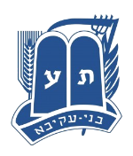 Bnei Akiva NY/NJ
