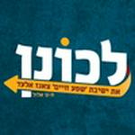 מוסדות צאנז-אלעד 