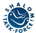Shalom Task Force