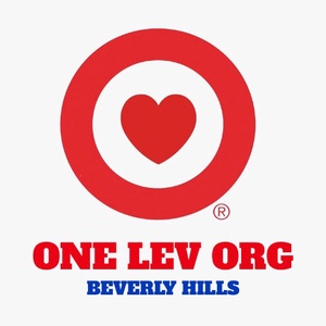 ONE LEV ORG