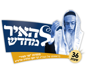 פני מאיר