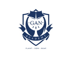 Gan Academy 