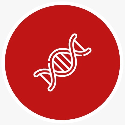 Research and Development