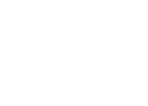 Guide Dogs Queensland