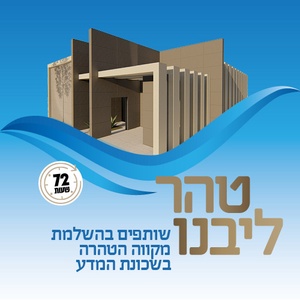 טהרת הבית בא"י