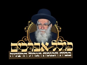 כולל אברכים בית הכנסת הגדול הרצליה