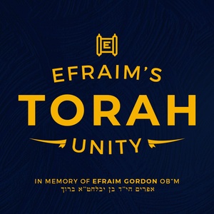 Unity for Efraim