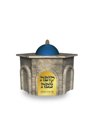 כל הצפתים בני מלכים קמחא דפסחא קופת צפת