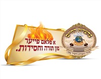 צאנז