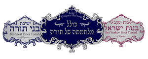 Milhamta Shel Torah 