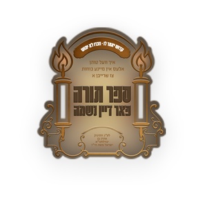 ספר תורה לע"נ הילד אהרן ע"ה בן יבלחט"א ר' ישראל משה הי"ו
