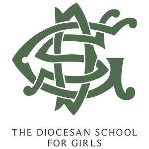 DSG