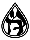 Mikvah Mayim Chaim Congregation Beth Solomon