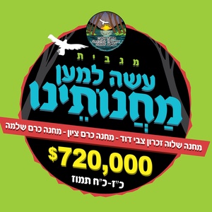 Camp Zichron Zvi Dovid Cong.
